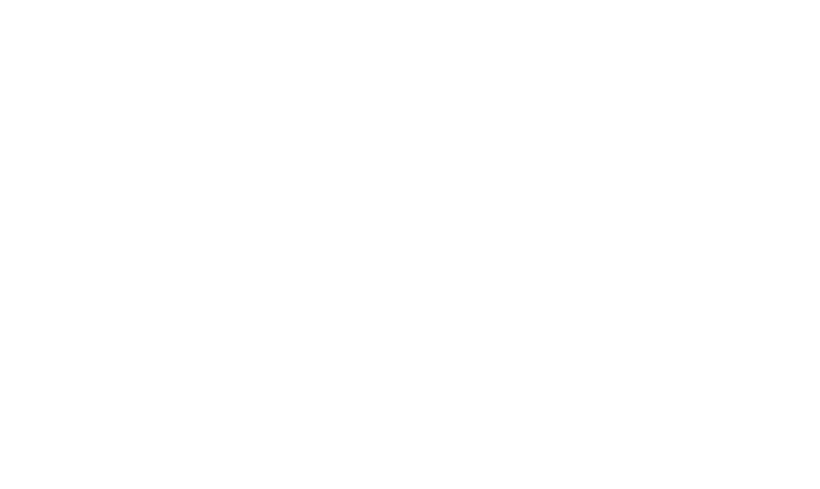 Swan Net-Gundry Ltd logo