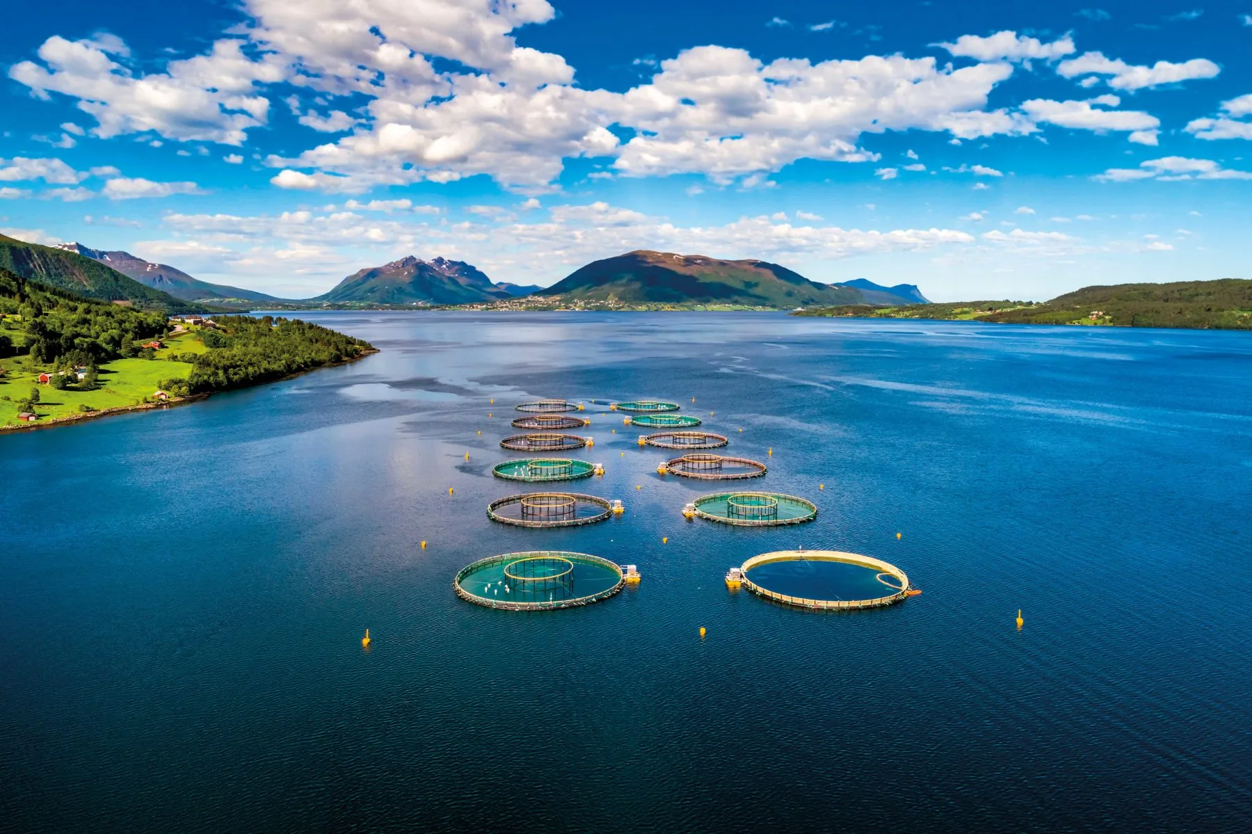 The Essential Guide to Choosing the Right Clothing for Aquaculture Farmers