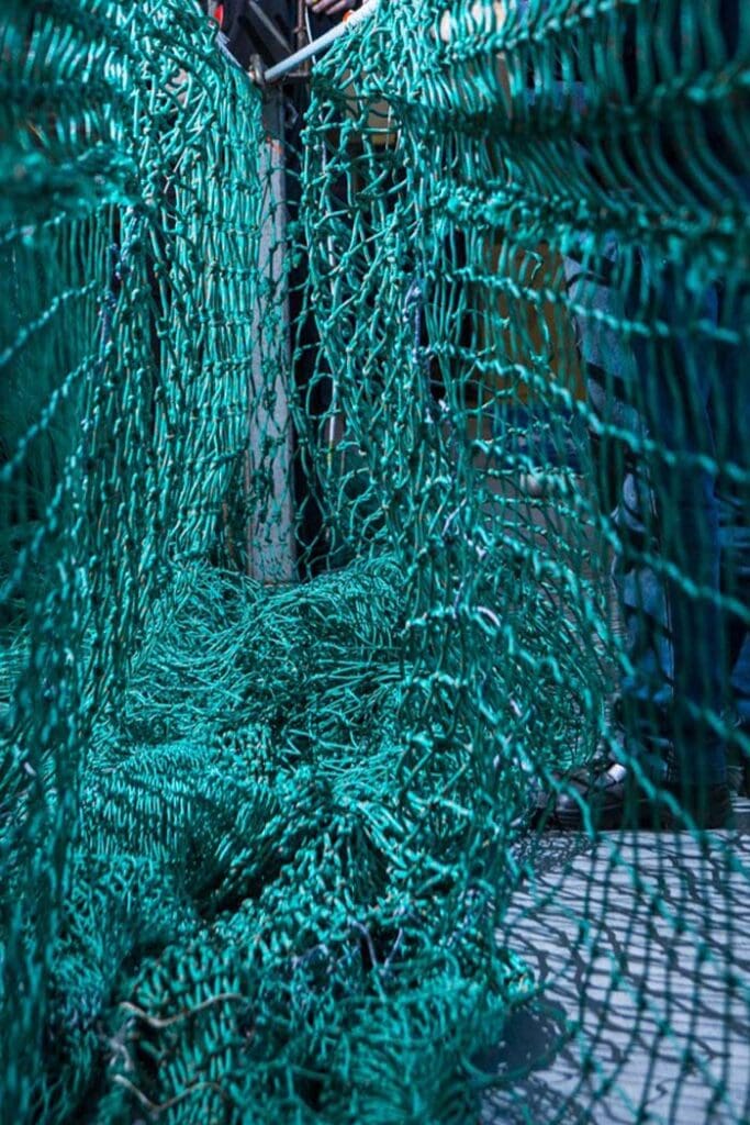 Premium Fishing Trawls for Pelagic, Demersal, & Inshore Fishing in