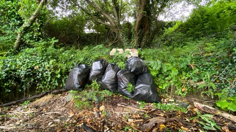 SNG Team Lough Shore Clean Up