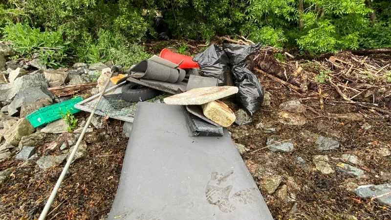 SNG Team Lough Shore Clean Up Debris