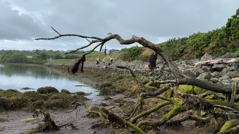 SNG Team Lough Shore Clean Up