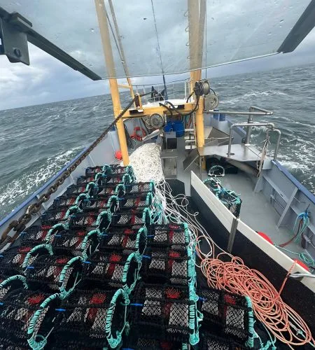 SNG Pots on board a vessel