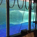 Exploring the Benefits of a Flume Tank in Trawl Testing