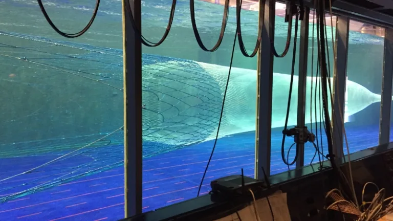 Exploring the Benefits of a Flume Tank in Trawl Testing