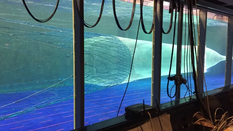 Testing net durability and flow resistance in a flume tank simulation.