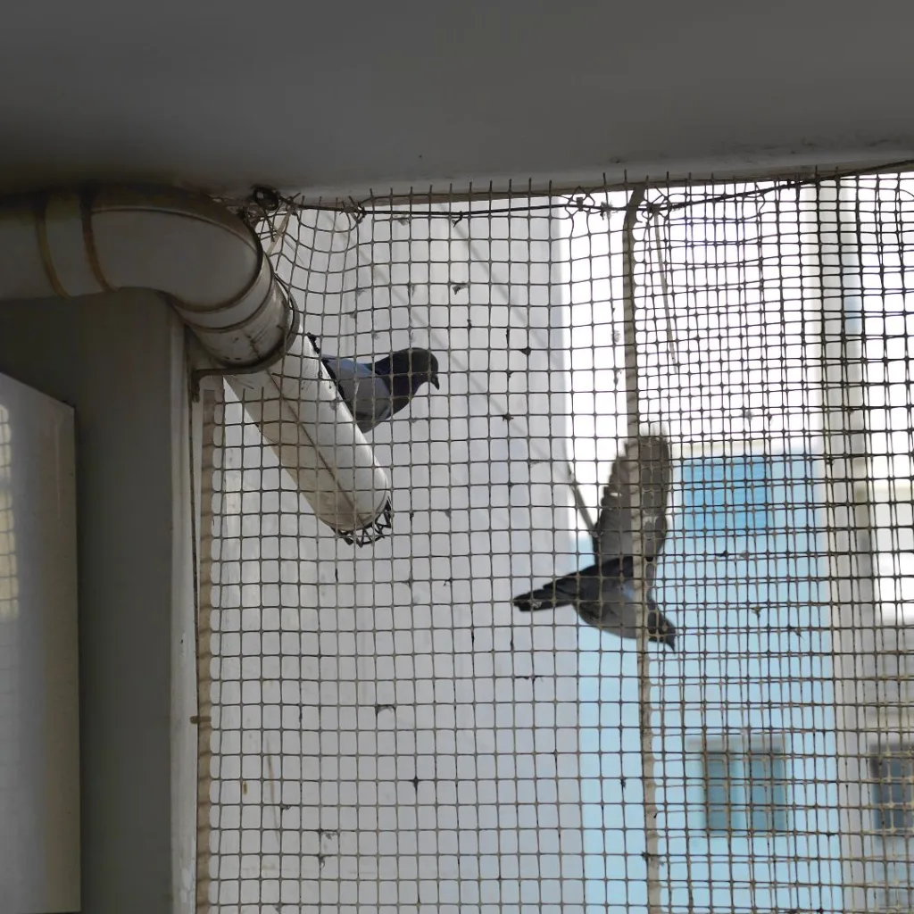 Construction site utilizing bird netting