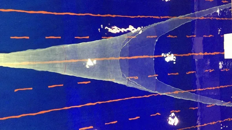 Simulation of fishing net behaviour under moving water conditions in a flume tank.